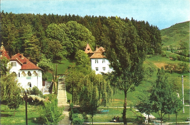 2066-2 - Sângeroz-Băi. Pavilioanele nr. 1 și 2